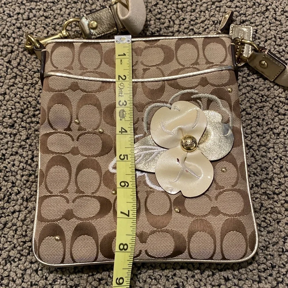 Coach Crossbody Bag in GUC